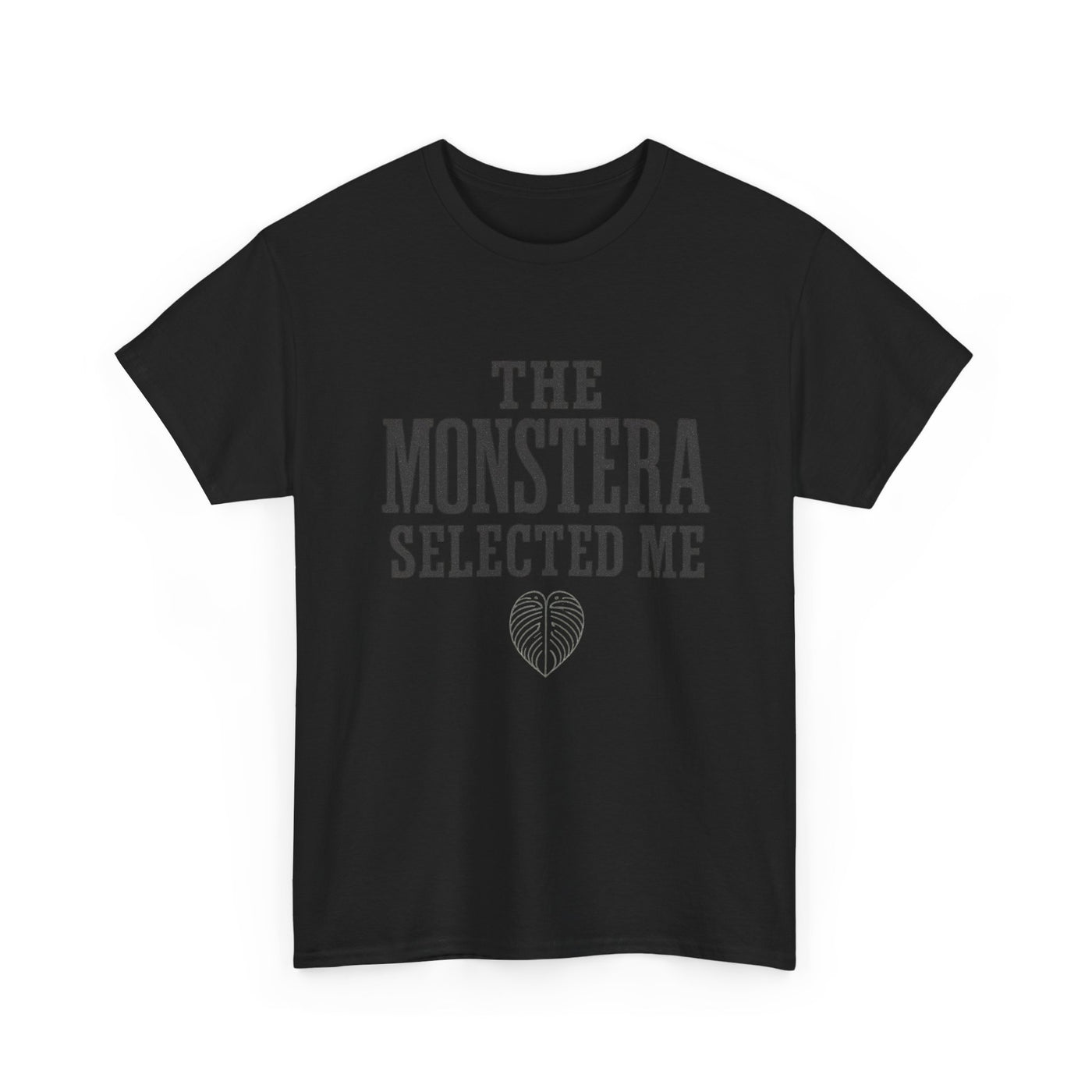 The Monstera Selected Me